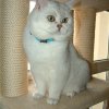 dscf0083